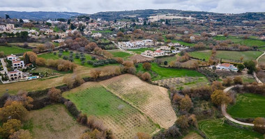 Large Field in Stroumbi