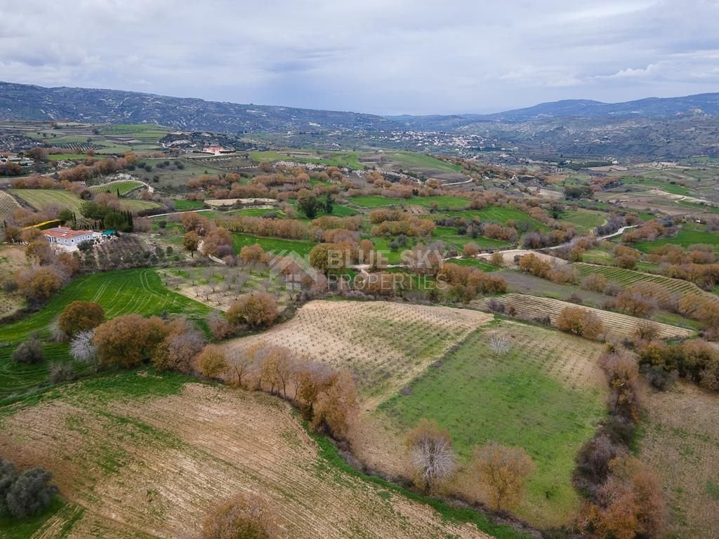 Large Field in Stroumbi