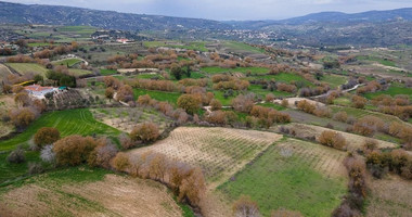 Large Field in Stroumbi