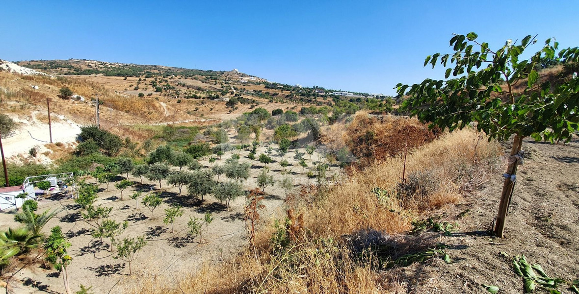 Agricultural land in Armou