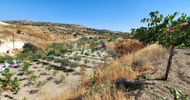 Agricultural land in Armou