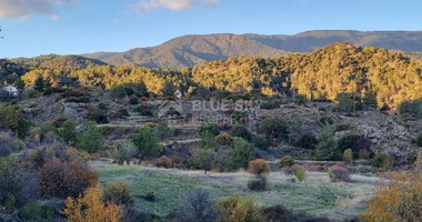 Residential land for sale in Pera Pedi village, Limassol