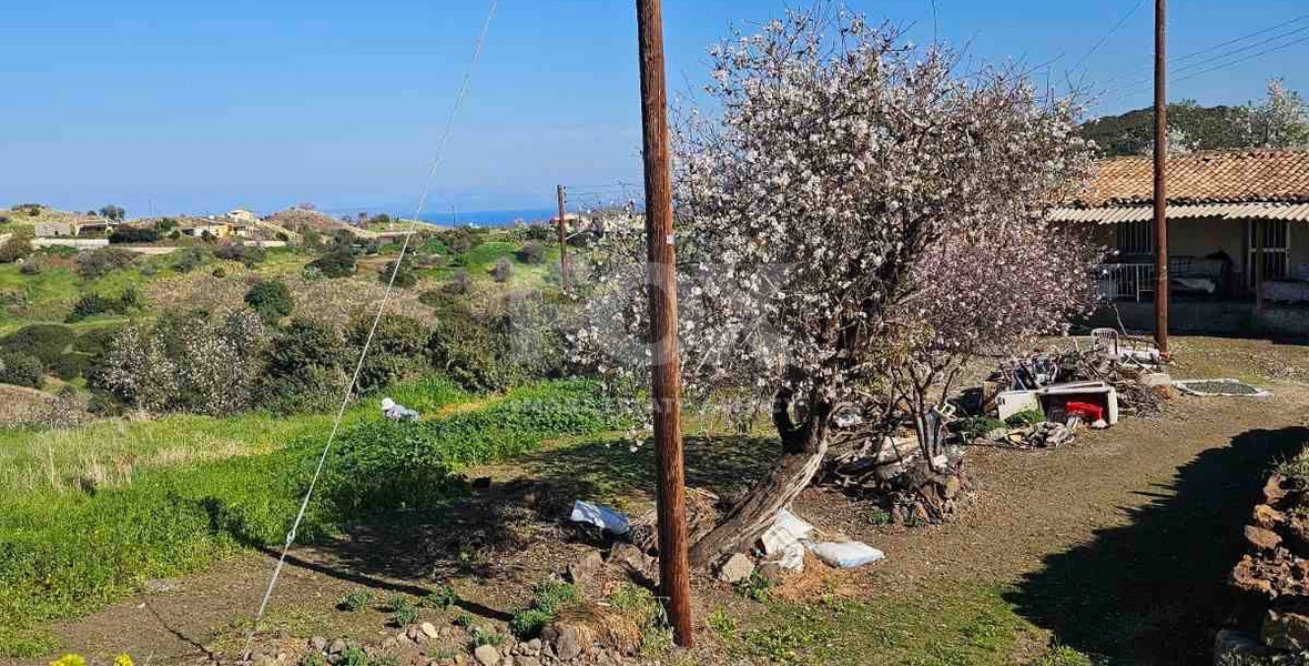 Residential Land in Pigenia - Pyrgos Tillirias area