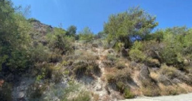 Land for sale in Pera Pedi village in Limassol