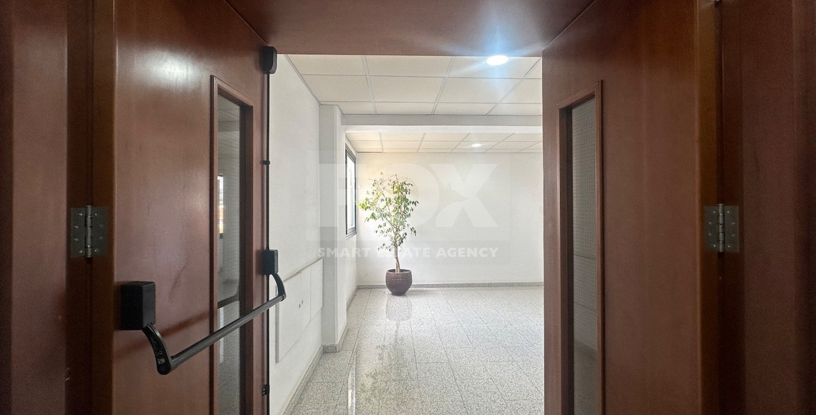 LUXURY OFFICES FURNISHED OR UNFURNISHED IN PRIME BUSINESS AVENUE LINOPETRA