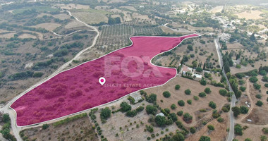 Field in Pano Akourdalia, Paphos