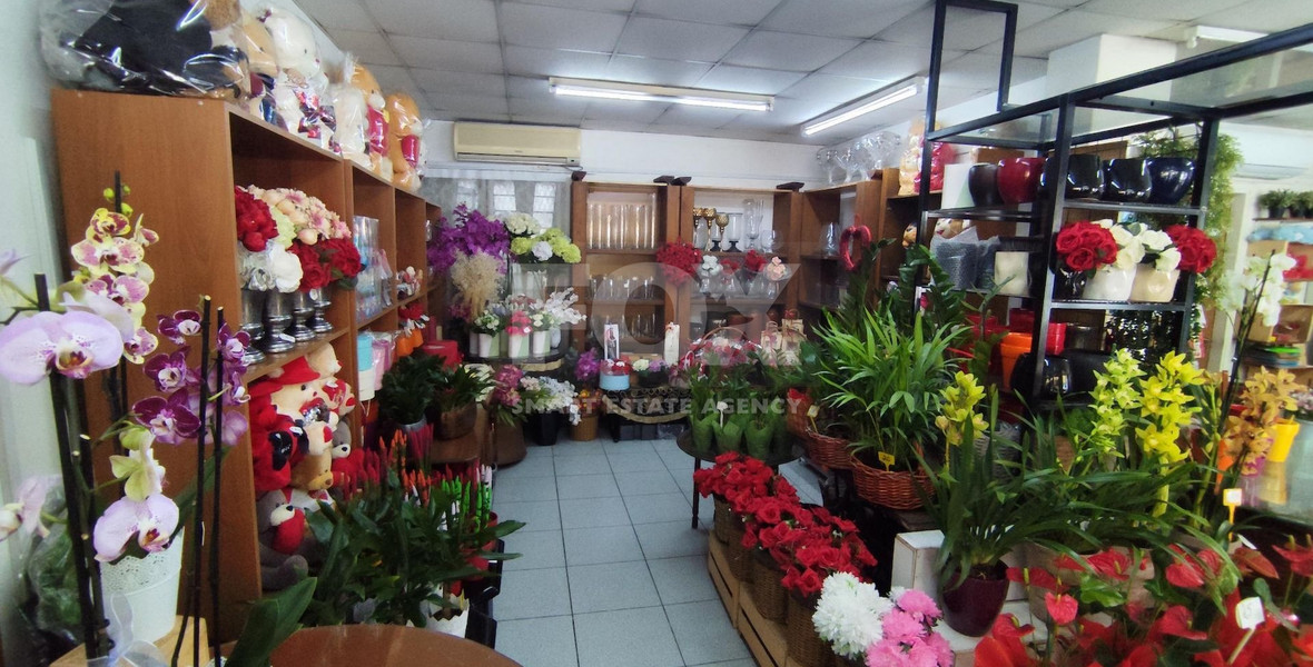 Fully Furnished Ground Floor Shop in Neapoli