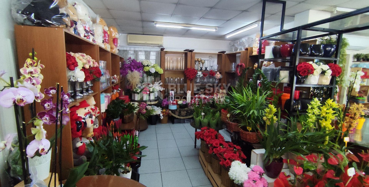 Fully Furnished Ground Floor Shop in Neapoli
