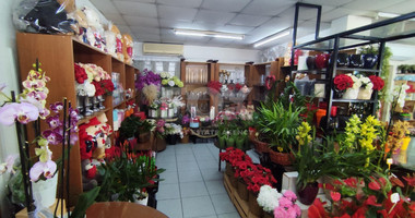 Fully Furnished Ground Floor Shop in Neapoli