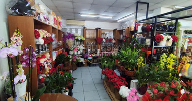 Fully Furnished Ground Floor Shop in Neapoli