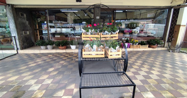 Fully Furnished Ground Floor Shop in Neapoli