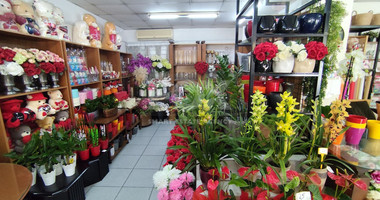 Fully Furnished Ground Floor Shop in Neapoli