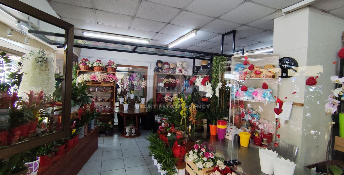 Fully Furnished Ground Floor Shop in Neapoli