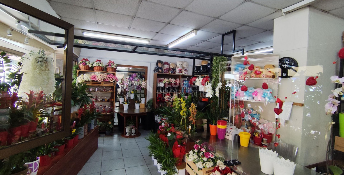 Fully Furnished Ground Floor Shop in Neapoli