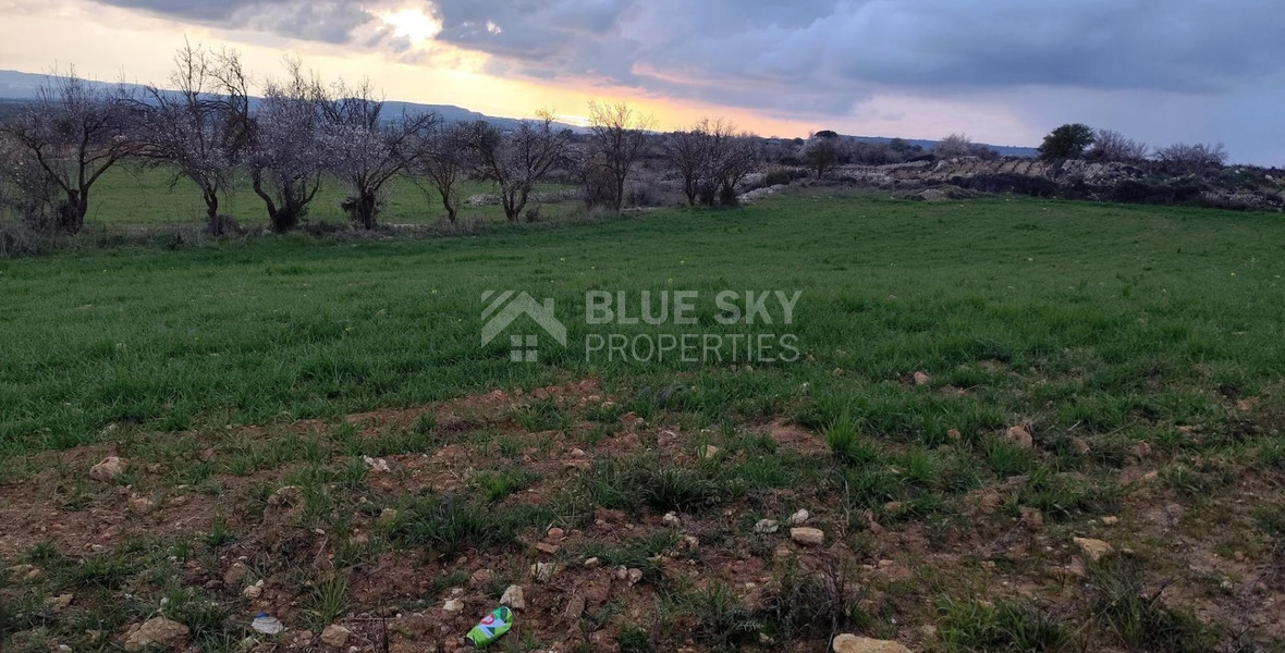 Agricultural land in Asgata , Limassol
