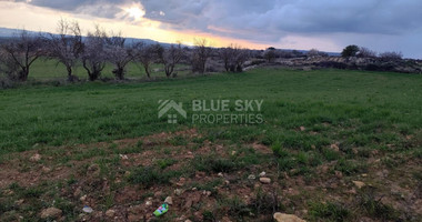 Agricultural land in Asgata , Limassol