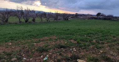 Agricultural land in Asgata , Limassol