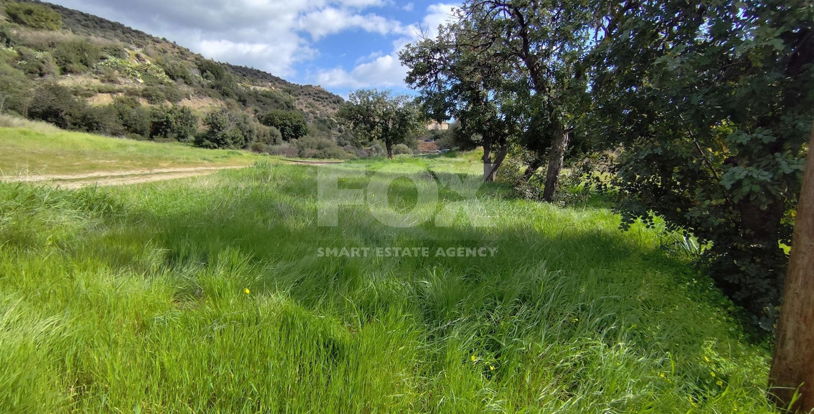 Agricultural land in Asgata , Limassol