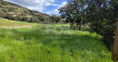 Agricultural land in Asgata , Limassol