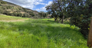 Agricultural land in Asgata , Limassol