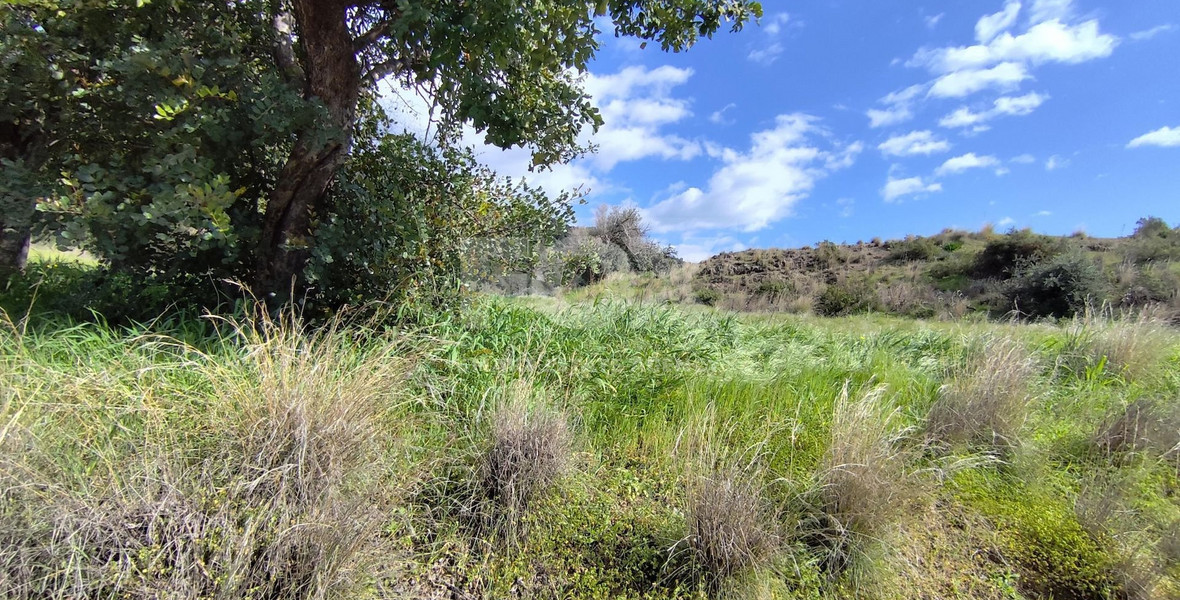 Agricultural Land in Asgata, Limassol