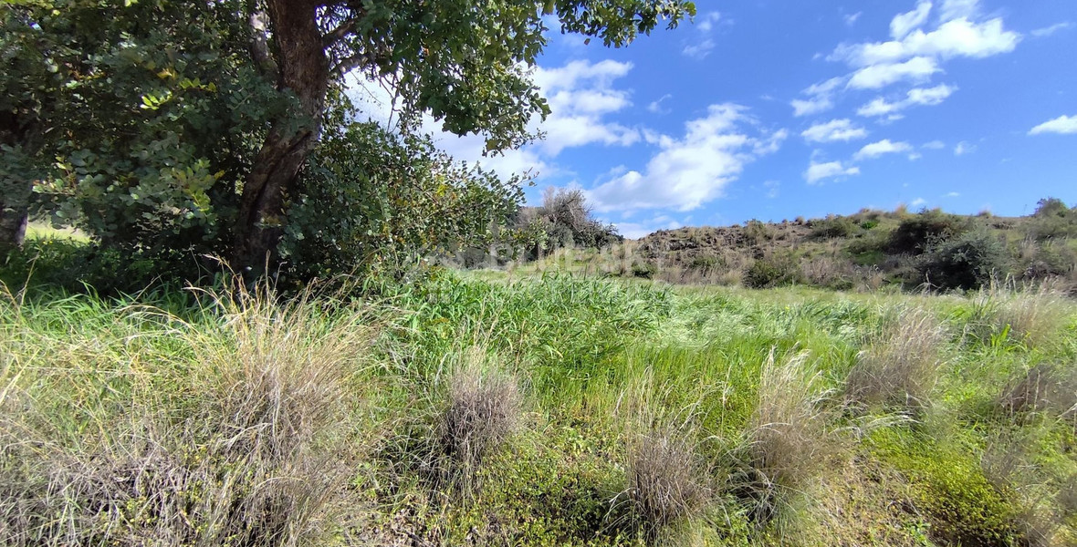 Agricultural Land in Asgata, Limassol