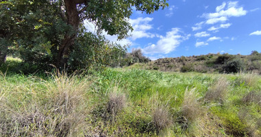 Agricultural Land in Asgata, Limassol