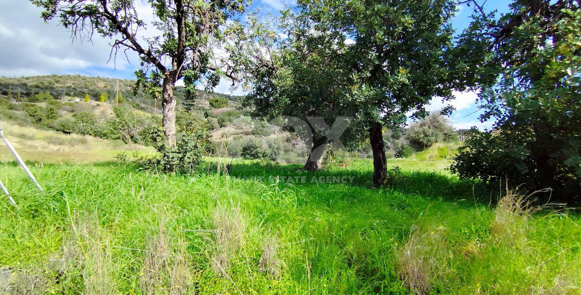 Agricultural land in Asgata , Limassol