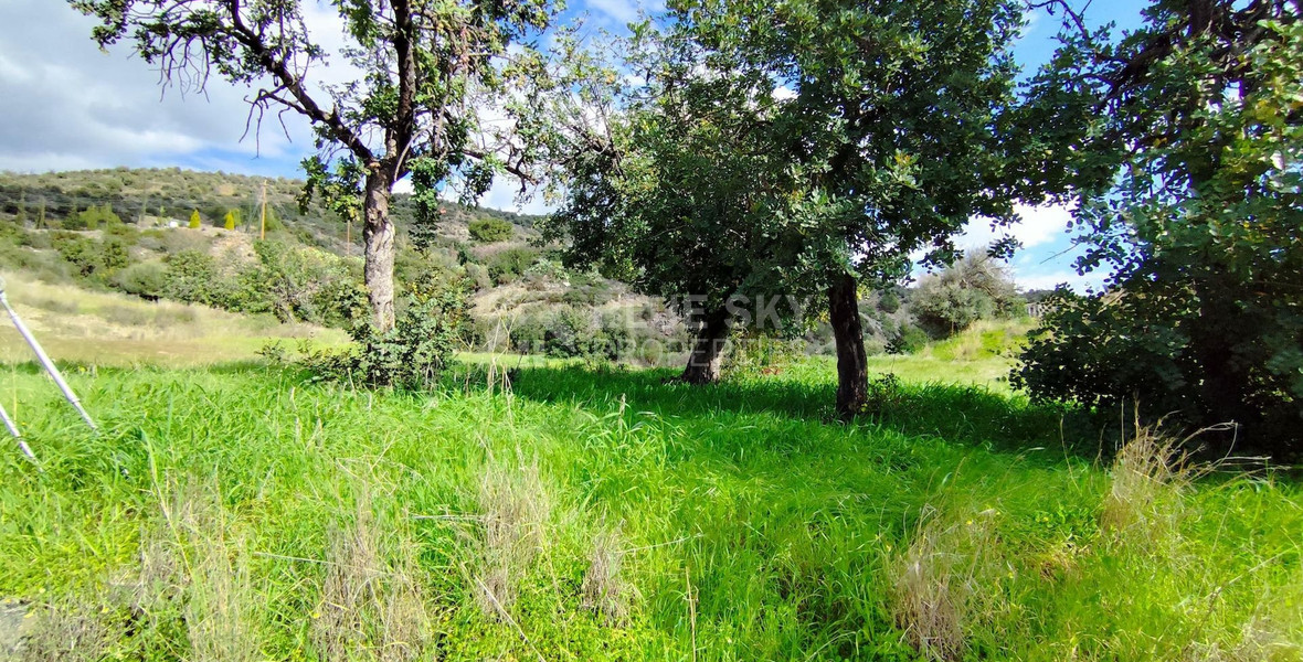 Agricultural land in Asgata , Limassol