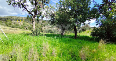 Agricultural land in Asgata , Limassol