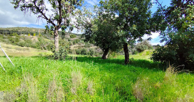 Agricultural land in Asgata , Limassol