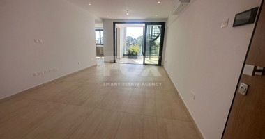 Modern three Bedroom- two level penthouse with roof garden and pool in Agios Georgios Havouzas