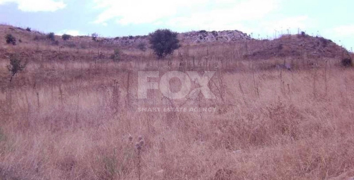 Agricultural Land 8,300m² with Sea View & Solar Panel Potential in Anarita