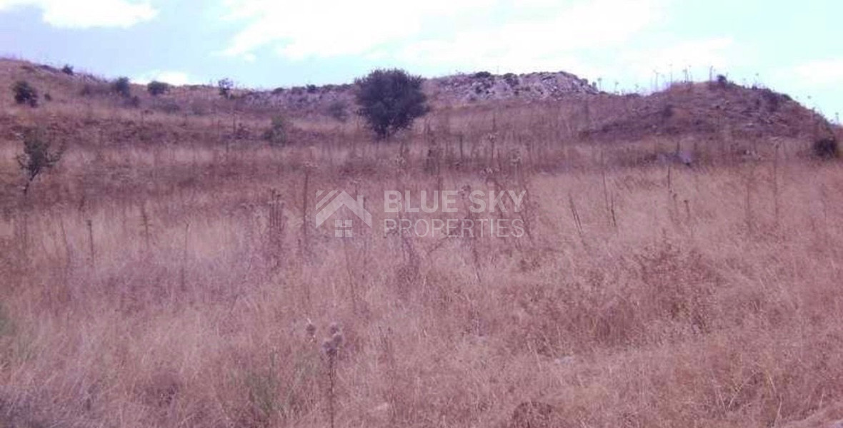 Agricultural Land 8,300m² with Sea View & Solar Panel Potential in Anarita