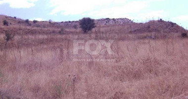 Agricultural Land 8,300m² with Sea View & Solar Panel Potential in Anarita