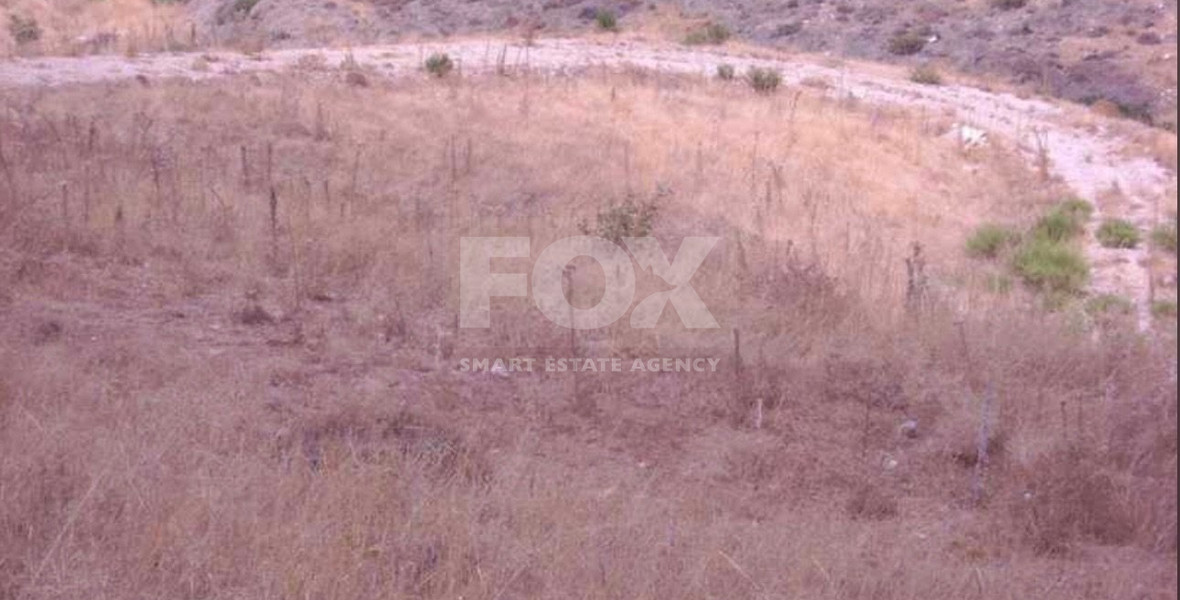 Agricultural Land 8,300m² with Sea View & Solar Panel Potential in Anarita