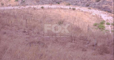 Agricultural Land 8,300m² with Sea View & Solar Panel Potential in Anarita