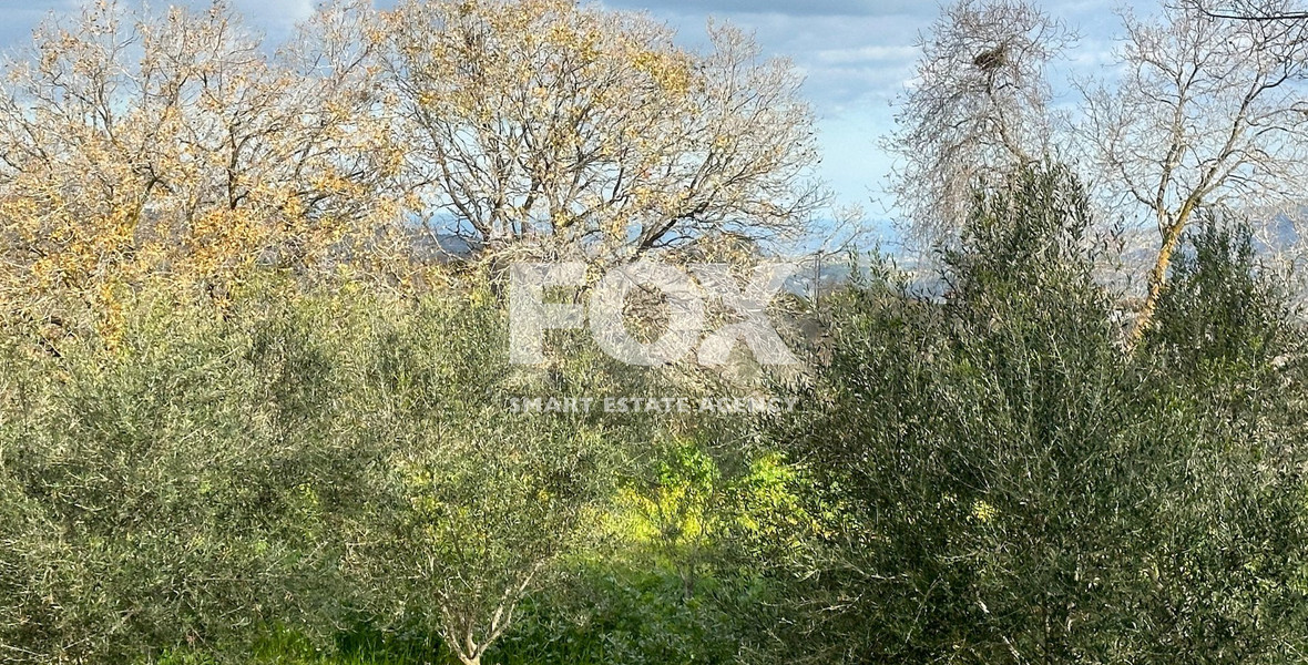 Residential land in Stroumpi, Paphos