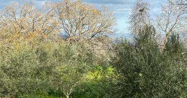 Residential land in Stroumpi, Paphos