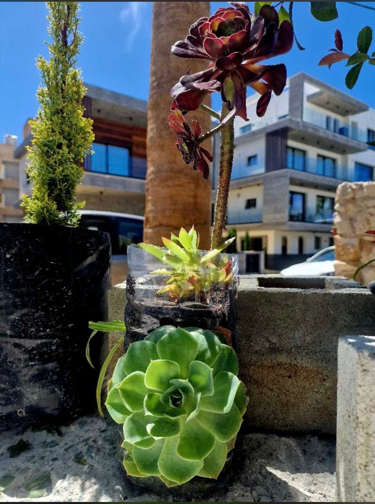 Apartamento 1 habitacion 45 m² Pafos, Chipre