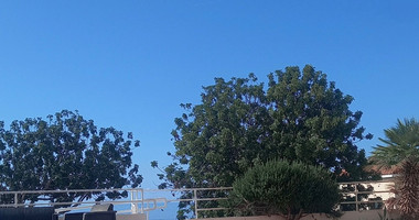 Fully furnished studio apartment in Pegeia, for sale