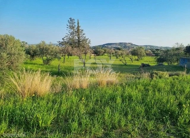 Large Development Land for Sale in Parekklisia