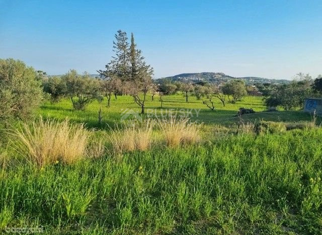 Large Development Land for Sale in Parekklisia