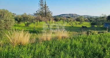 Large Development Land for Sale in Parekklisia