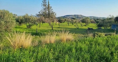 Large Development Land for Sale in Parekklisia