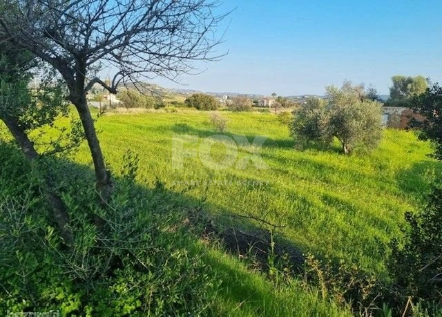 Large Development Land for Sale in Parekklisia