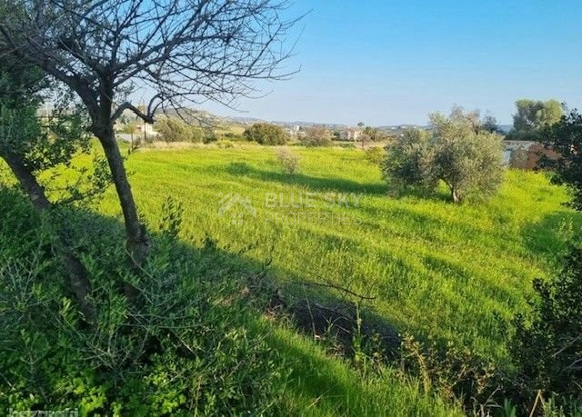 Large Development Land for Sale in Parekklisia