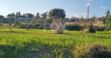 Large Development Land for Sale in Parekklisia