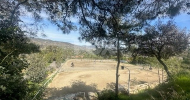 FOR SALE Freehold Land with Established & Profitable Equestrian Business for sale in Pareklissia