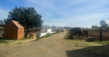 FOR SALE Freehold Land with Established & Profitable Equestrian Business for sale in Pareklissia